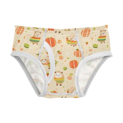 visesunny Boys Potty Training Underwear Cartoon Colorful Alpaca Breathe Cotton Briefs Size 2T-8Y for Toddler