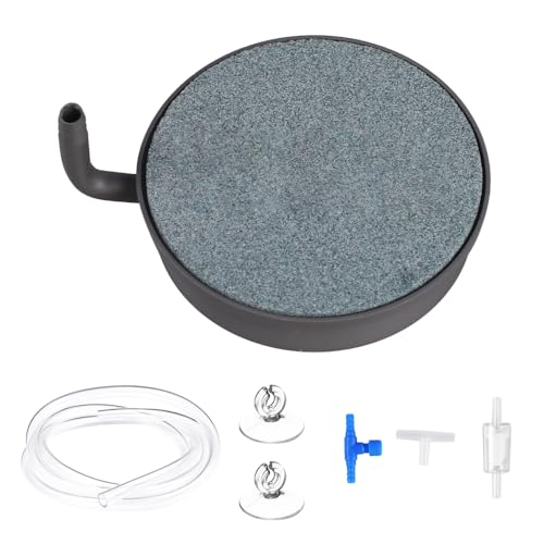 MiOYOOW ANAEGAXg[AnouXg[AXeXX`[x[XA1.5m \tg_f`[u k͔|p