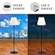 Postlucky Solar Stehlampe Outdoor Stehlampe Dimmbar Warmweiß und RGB Akku Stehlampe Kabellos 2-in-1 Solarladung&USB Aufladung LED Stehlampe Außen IP44 für Garten Terrasse Patio Balkon (Schwarz)