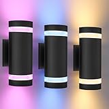 WISELUME Modern Outdoor Wall Sconce,Smart LED Outdoor Lights-RGB+CCT Color Changing, App&Voice Control, Compatible with App Smart Life, Ambience Exterior Porch Lights for Patio, Garage,Yard