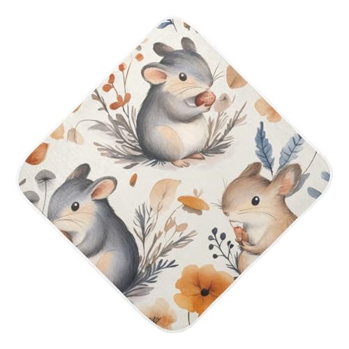 PaChyLuu Forest Cute Squirrels Baby Hooded Towel Soft Cotton Baby Towels Ultra Absorbent Bath Towel for Babies Boys Girls, 35x35 Inch