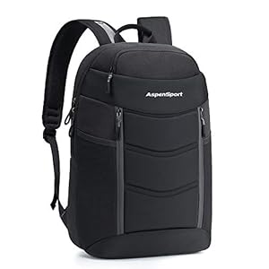 ASPENSPORT Reisetasche Laptop Rucksack, passend für 43,2 cm (17 Zoll) Computer, wasserabweisend, mit USB-Port und Powerbank Tasche, Business-Tagesrucksack für Herren, schwarz 15.6 inches