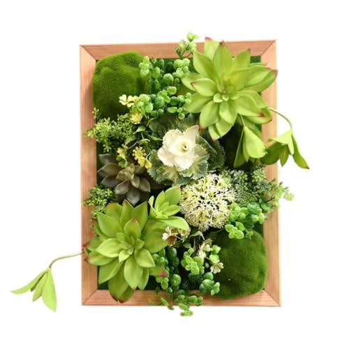 壁掛け 観葉植物 多肉植物」の人気商品一覧 | 安い商品を通販