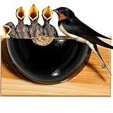 CEDAR ALPHA Swallow Houses for Outside, ...