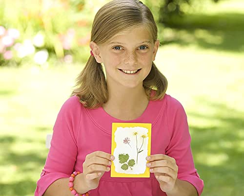 4M 4565 Green Creativity Pressed Flower Art Kit thumb #4