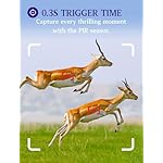 BlazeVideo-2-Pack-16MP-No-Glow-Hunting-Trail-Wildlife-Cameras-Hunters-Camo-Scouting-Game-Cam-Motion-Sensor-Activated-Waterproof-Night-Vision-40pcs-IR-LED-PIR-236-LCD-Screen-High-Trigger-Speed