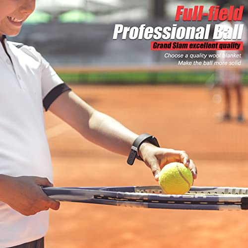 Image of GKK Tennis Balls, 27 Pack Advanced Training Tennis Balls Practice Balls, Pet Dog Tennis Balls, Good for Beginner Training Ball (Yellow)