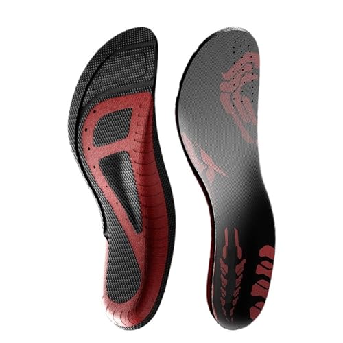 TCNOC\[bNV[Y zLA[`T|[g [hoCN X|[c Ռz jp(43-44)