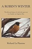  A ROBIN\'S WINTER: The life and times of a lad who grew up in a hamlet on Saginaw Bay
