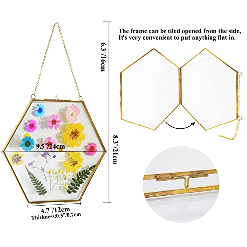 Tlbtek Brass Hanging Photo Frame,9.5 Inch Hexagon Glass Frame For Pressed Flowers,Clear Diy Vintage Artwork Display Frame Wall Mounted Photos Frame #TOP3