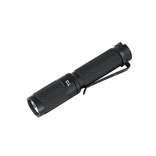 ThruNite Ti Series Mini Keychain Flashlight with Reversible Clip, Powered by 1*AAA Battery, IPX-8 Waterproof(no Battery Included)