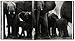 Peter Beard. The End of the Game. 50th Anniversary Edition
