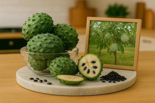 5 Graines de Pommier Cannelle - Attier - Sugar Apple - Annona squamosa - Fruit exotique - Jardin - 398