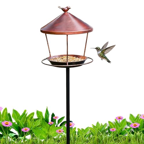 Comida y agua de aves en patio interior con bandeja metálica 2