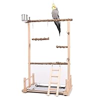 Parrot Playstand, Bird Playground, Papagei Vogel Spielplatz, Papageien Vogelständer Vogelspielplatz für Vogelkäfige, für Wellensittich Nymphensittich(36.5 * 23 * 57CM)