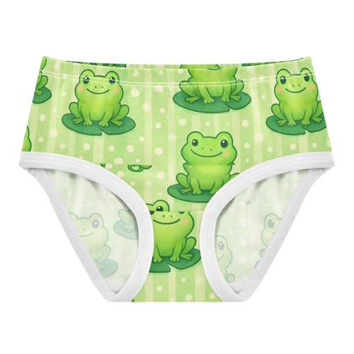 Joisal Fun Print Toddler Underwear Floral 2t Cotton Girl Panties Cute Cute Cartoon Frogs Green Kids Briefs Undies