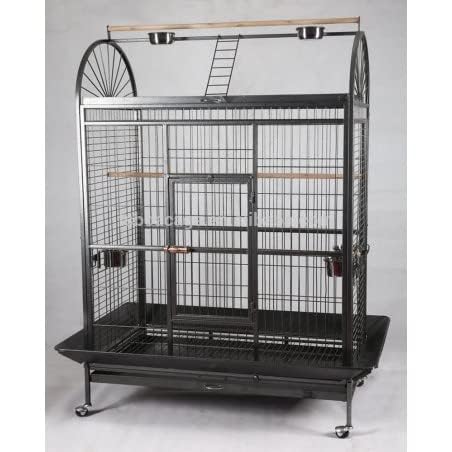 Foldable Playtop Metal Bird Cage with Wheel with 5 Steel Cups,2 Perch, and Tray for Macaw, Green Parrot,Umbrella,Cuckoo & All Big Birds L:122.4 CM x B:82.3 CM x H:178cms Bar spacing-3CM (B0D9QT7KLV) Amazon Price History, Amazon Price Tracker