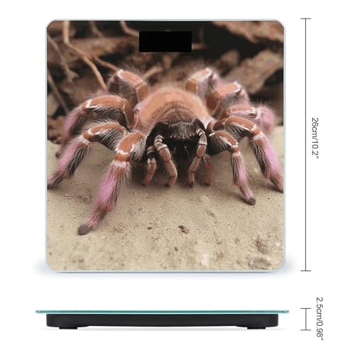 Báscula de baño digital con vidrio templado y pantalla LCD miniatura 2
