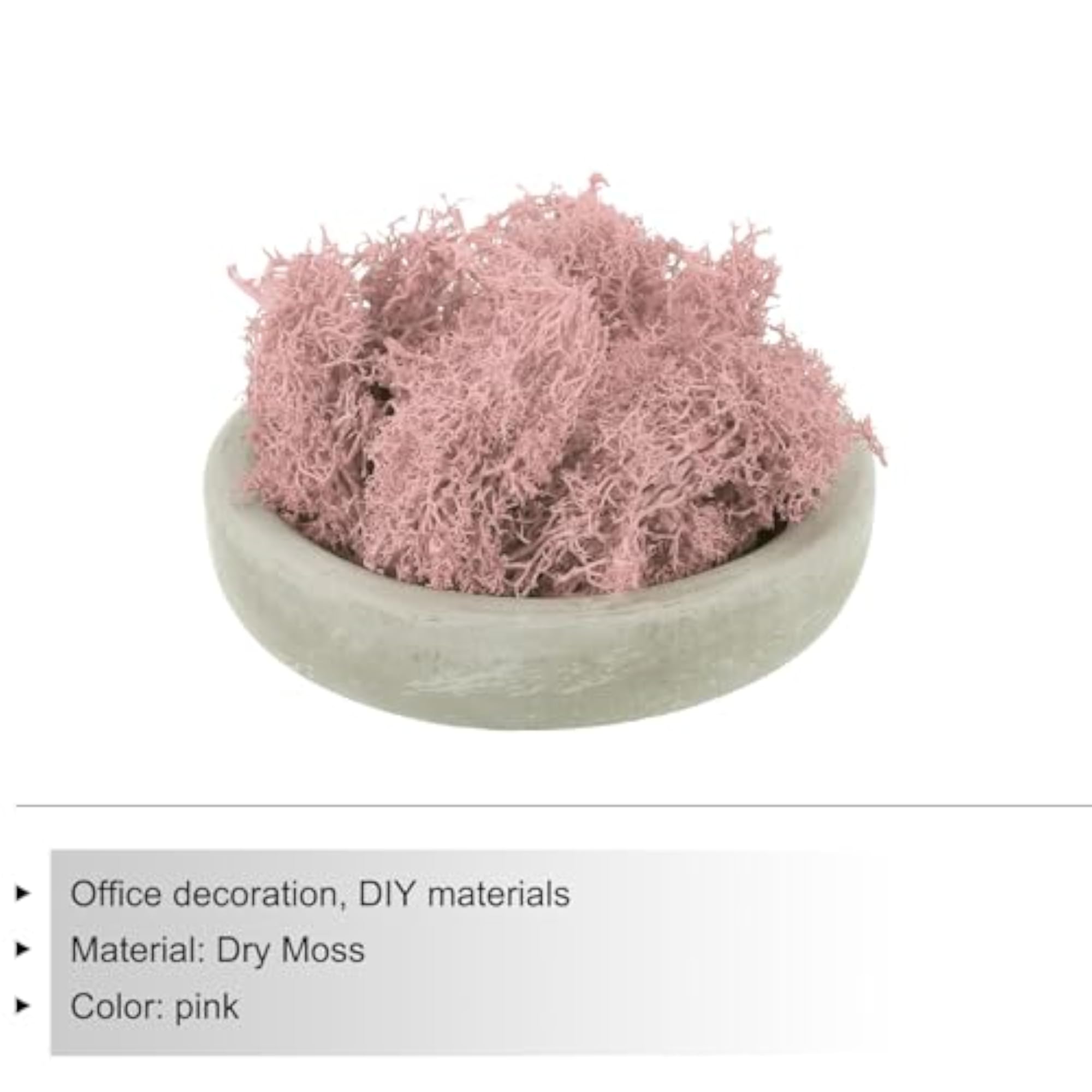 Natural Preserved Moss for Craft and Floral Projects