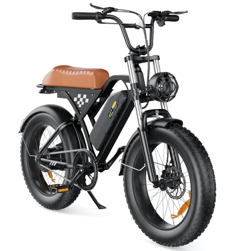 isinwheel Electric Bike Adults 750/1500W Ebike 20/28MPH, 55-75 Miles Electric Motorcycle with 10.4/13AH Battery, 20" Fat Tire Electric Dirt Bike 7-Speed E-Bike Full Suspension, R/L Turn Head