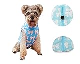 DroolingDog Dog Jacket Harness for Small Dogs, Dog Zipper Jackets, Small Dog Jackets with Leash...