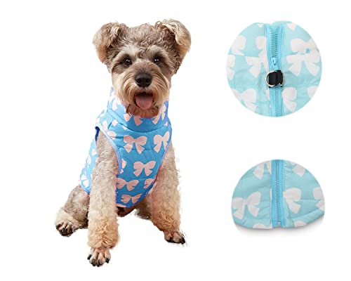 DroolingDog Dog Jacket Harness for Small Dogs, Dog Zipper Jackets, Small Dog Jackets with Leash Ring, Pet Puppy Waterproof Jackets for Small Dogs