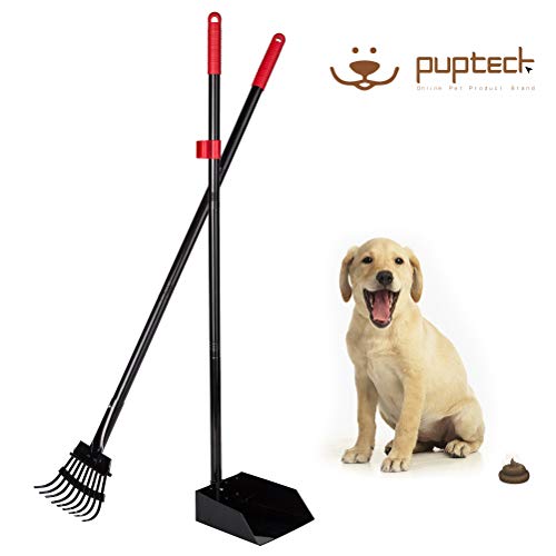 PUPTECK Pet Poop Tray and Rake - Long Handle Pooper Scooper - Clean