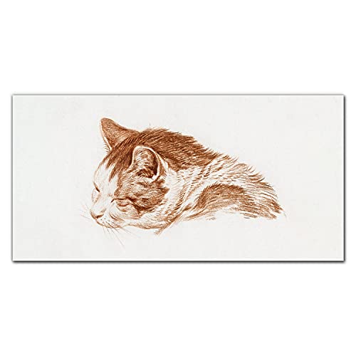 Décoration D'intérieur Photo sur Verre sans cadre - Grand Tableau Chat 100x50cm