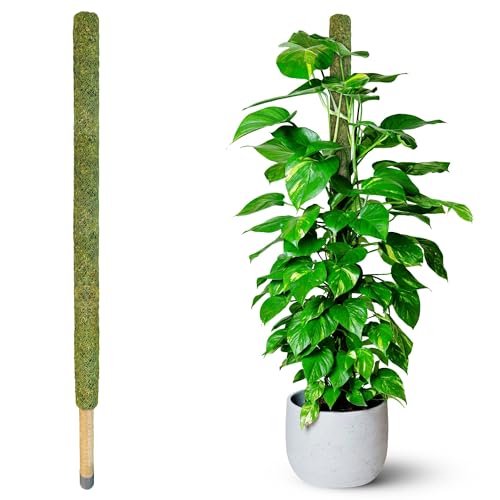DUSPRO 59’’ Large Green Mesh Moss Pole Monstera Plant Suppor...