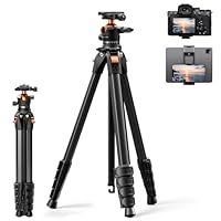 K&F CONCEPT Treppiede Fotocamera 187CM, Treppiede Compatto in Alluminio A305A3+BH-40, Cavalletto Fotografico con Testa a Sfera e Arca Swiss, Capacità 10KG, Compatibile con iPhone/DSLR/Canon/Nikon,ecc.