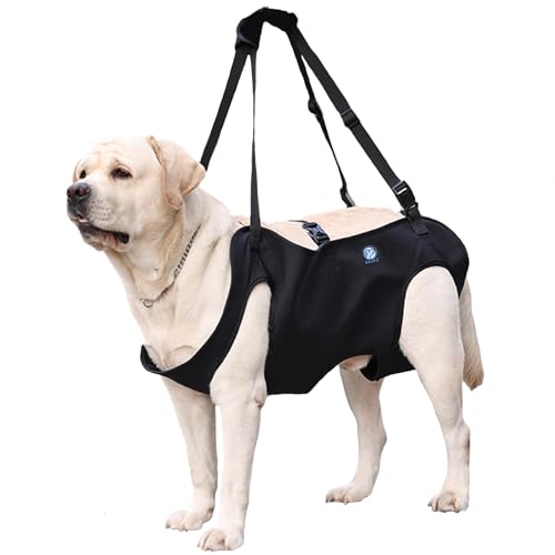 KAJILE Arnés de Elevación para Perros, Negro, Talla L