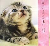 誰かいませんか