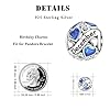 DALARAN December Birthstone Charms for Pandora Charms Bracelet 925 Sterling Silver Birthday Mother's Day Chrismas Jewelry Gift for Women
