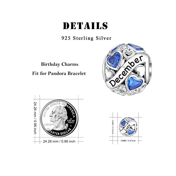 DALARAN December Birthstone Charms for Pandora Charms Bracelet 925 Sterling Silver Birthday Mother's Day Chrismas Jewelry Gift for Women