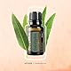 Doterra Eucalyptus Essential Oil 15ml by doTERRA