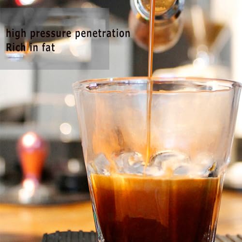 Macchina per caffè Espresso Manuale a Leva con manometro della Pressione dell'olio, Funzione di preriscaldamento per Un caffè Ricco e Delicato a casa o al Bar