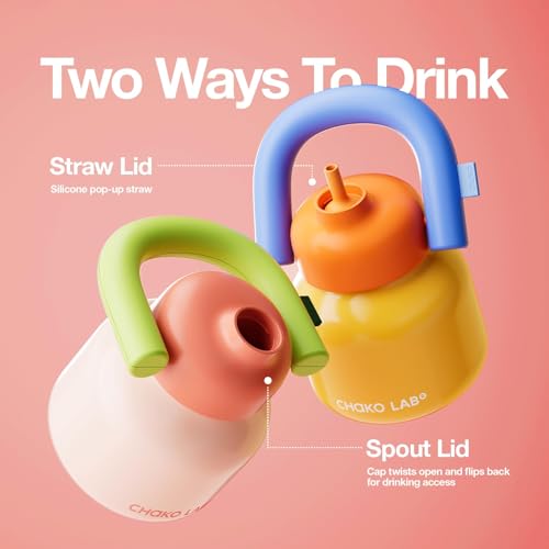 Insulated-Water-Bottle-with-Straw-Lid-handleStraw-Screw-Top33ozStainless-Steel-Water-Bottle-for-Fitness-and-SportsBPA-Free-PinkGreen