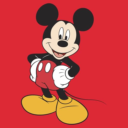 Disney Mickey Mouse Graphic Short Sleeve T-Shirt, Mens Tshirt2