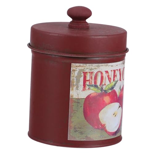 Abaodam 1 Caja Cubo De Flores De Hierro Titular De De La Jarra Jarrón De Centro De Mesa De La Casa De Campo Bote De Té Galvanizado Jarrón para Fotografía Botes Francia Comida Seca Planchar