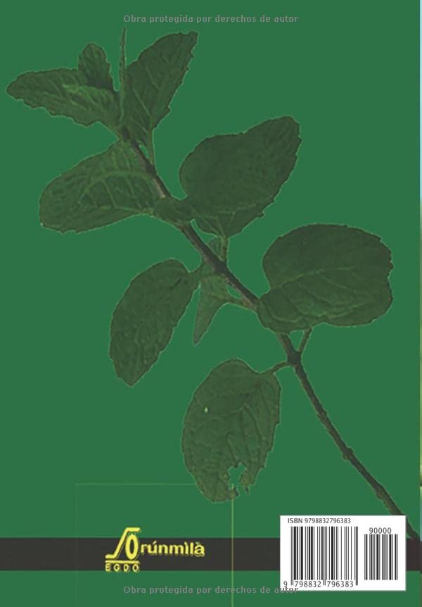 Miniatura 2 de LAS HIERBAS DE IFA VOLUMEN I (Spanish Edition)