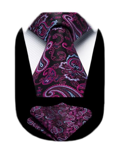 Image of HISDERN Ties for Men Paisley Tie and Pocket Square Woven Classic Floral Mens Ties Handkerchief Set Wedding Party Necktie