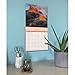 Carousel Calendars, Volcanoes 2026 Wall Calendar