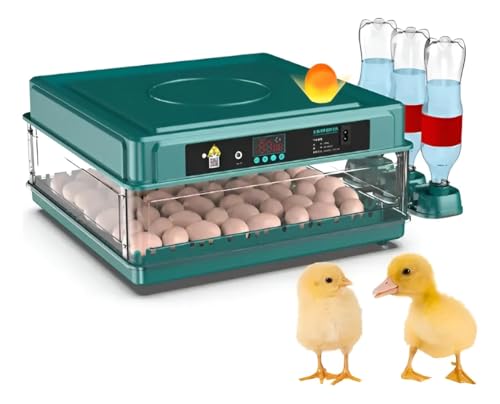 Chocadeira Automática 130 Ovos com Controle Automático de Temperatura, Viragem Automática, Tanque de Água e Bateria 12V – 220V