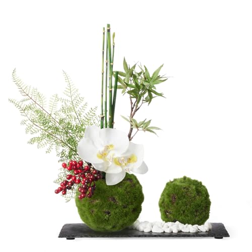 PRIMA  Ӓ×gNT ۋ  t[AWg