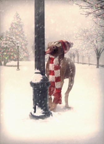 Dog Tongue Stuck on Pole - Box of 10 Funny Avanti Christmas Cards