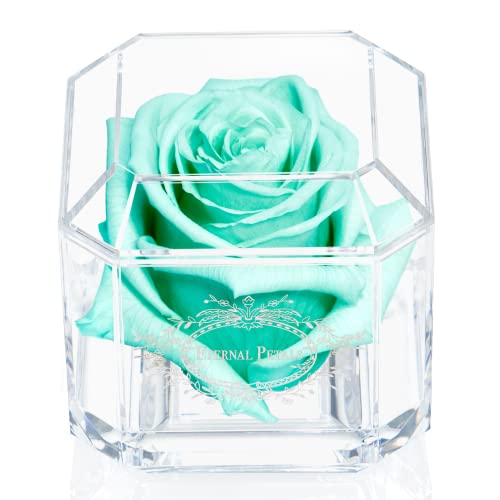 Eternal Petals A 100% Real Rose That Lasts A Year - White Gold Solo (Tiffany)