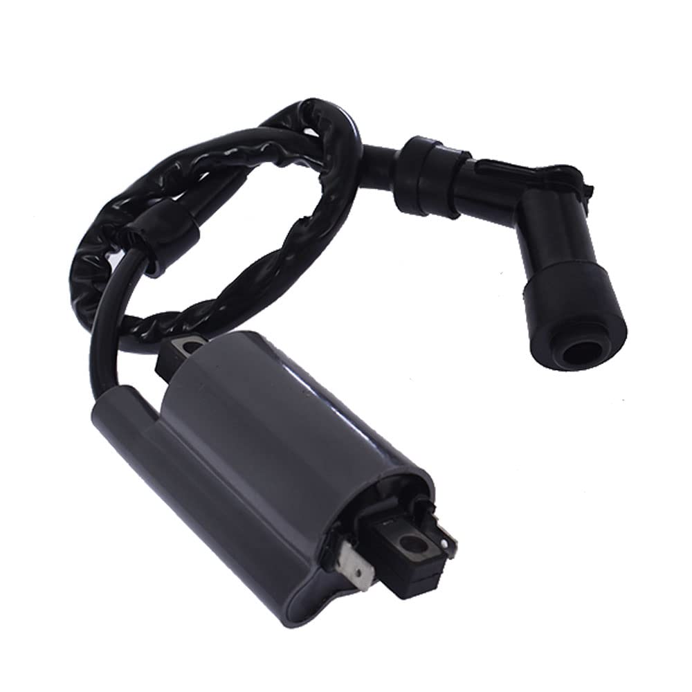 BSHYDLM IGNITION COIL FIT FOR YAMAHA for RAPTOR 700 YFM700 2006 2007 2008 2009-2019