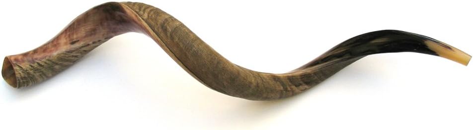 40"-41" XLarge Yemenite Kudu Horn Half Polished/Natural Shofar by Peer Hastam, with Anti Odor Spray, Made in Israel