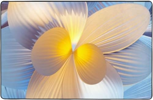  ԕ O O}bg J[ybg 100 * 150 Cm J[ybgΉ ~ ` ~ߕt EHbVu I[V[YKp