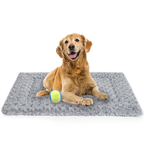 Dog Crate Pads The 15 best products compared Wild Explained